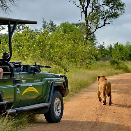 Kruger Safari Lodge Manyeleti vadrezervátum Kültér fotó