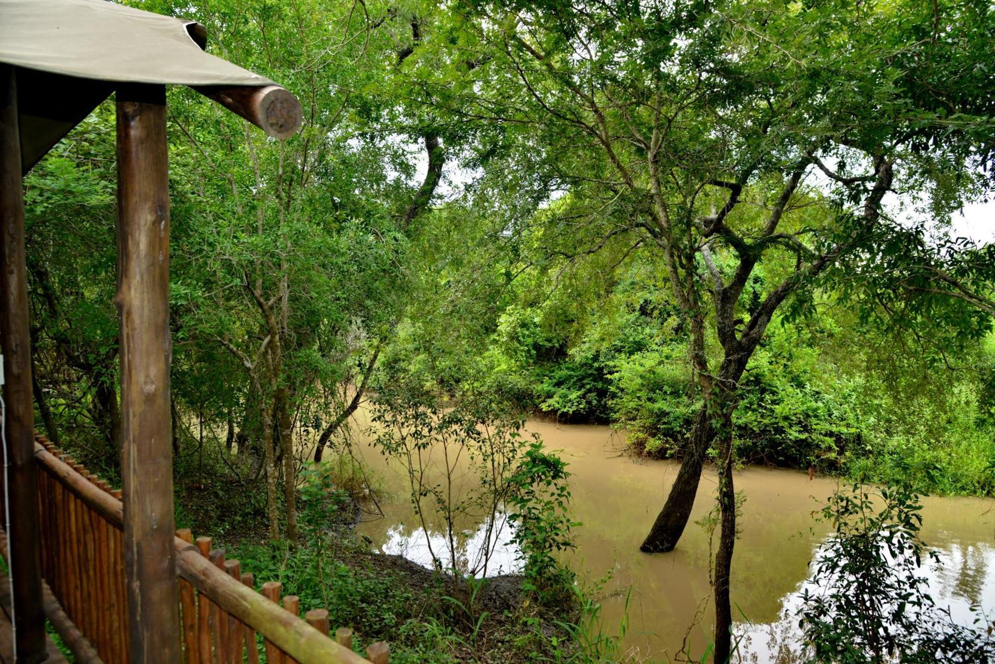 Kruger Safari Lodge Manyeleti vadrezervátum Kültér fotó