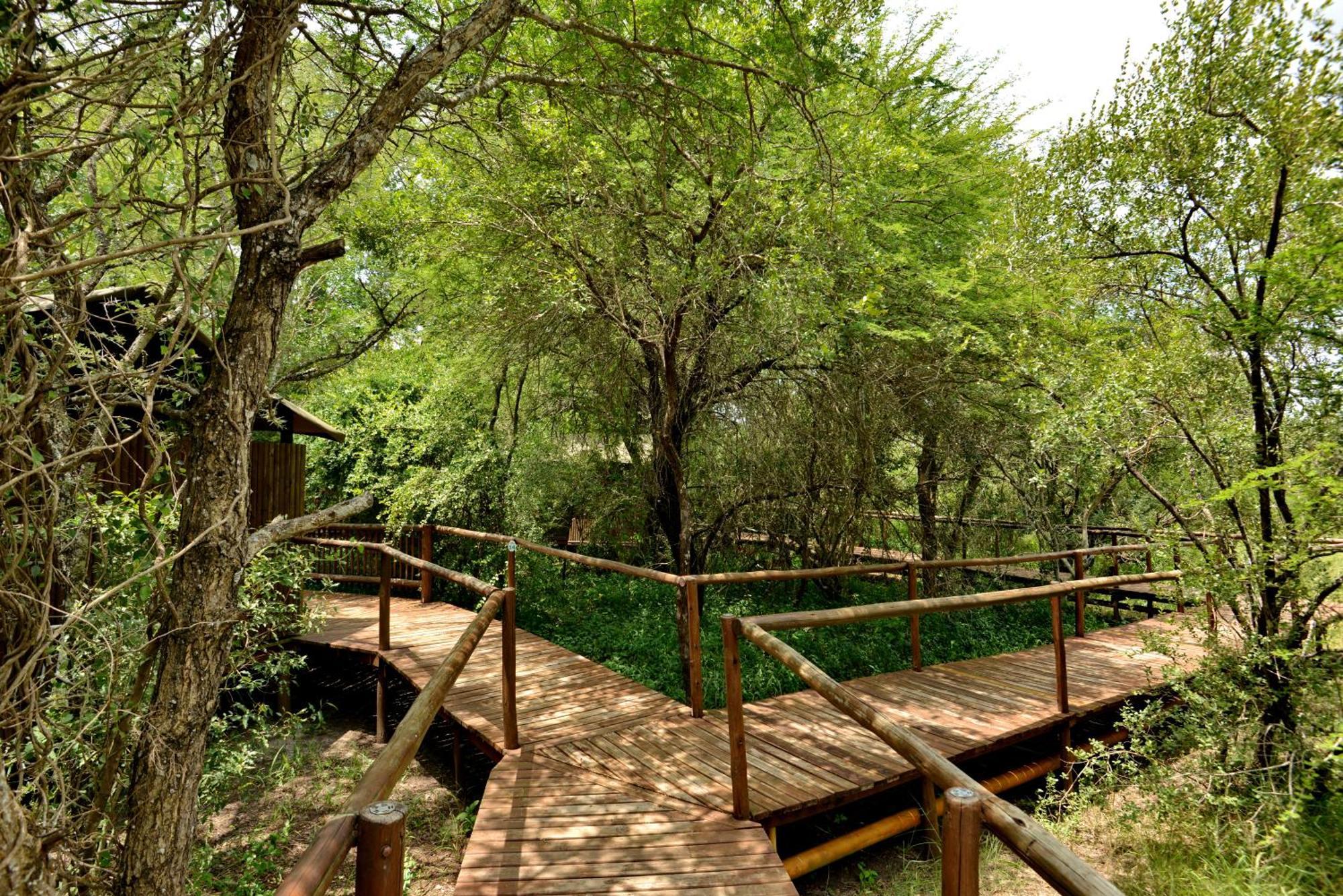 Kruger Safari Lodge Manyeleti vadrezervátum Kültér fotó